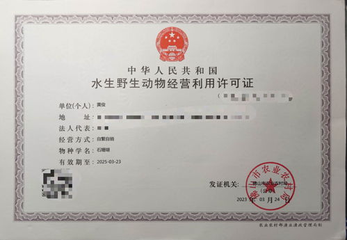 攜手專業力量，共拓水產健康養殖新篇章——誠邀各省市代理加盟